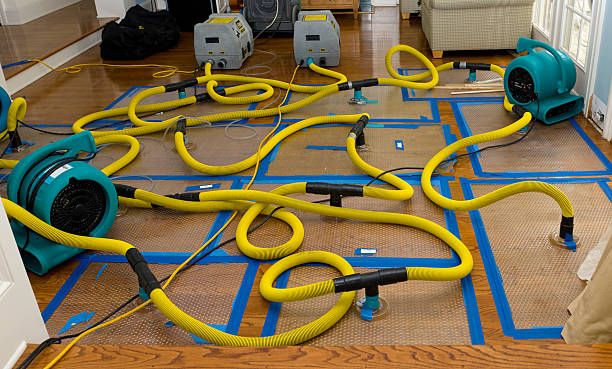 Professional Structural Drying And Dehumidification technician working in Pittsford, MI